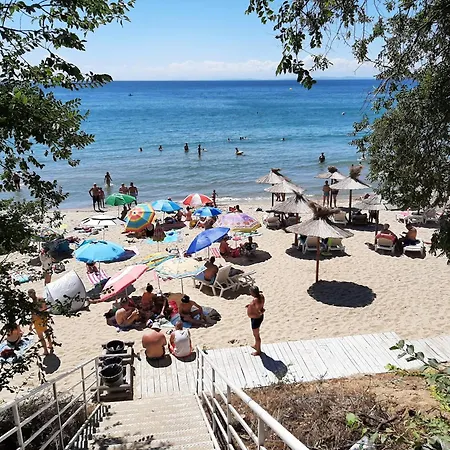 Sardinia Sweti Wlas, Studio * Sveti Vlas
